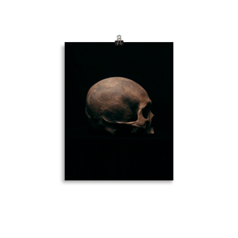 Side view right, real human skull photography - Art print