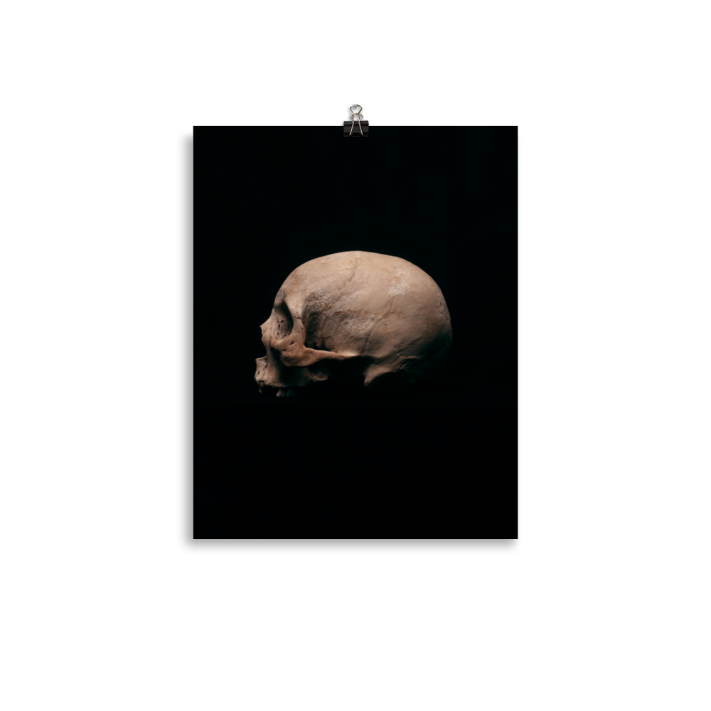 Side view left, real human skull photography - Art print