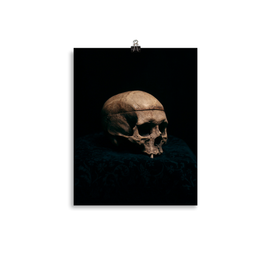 Still life skull, real human skull photography - Art print