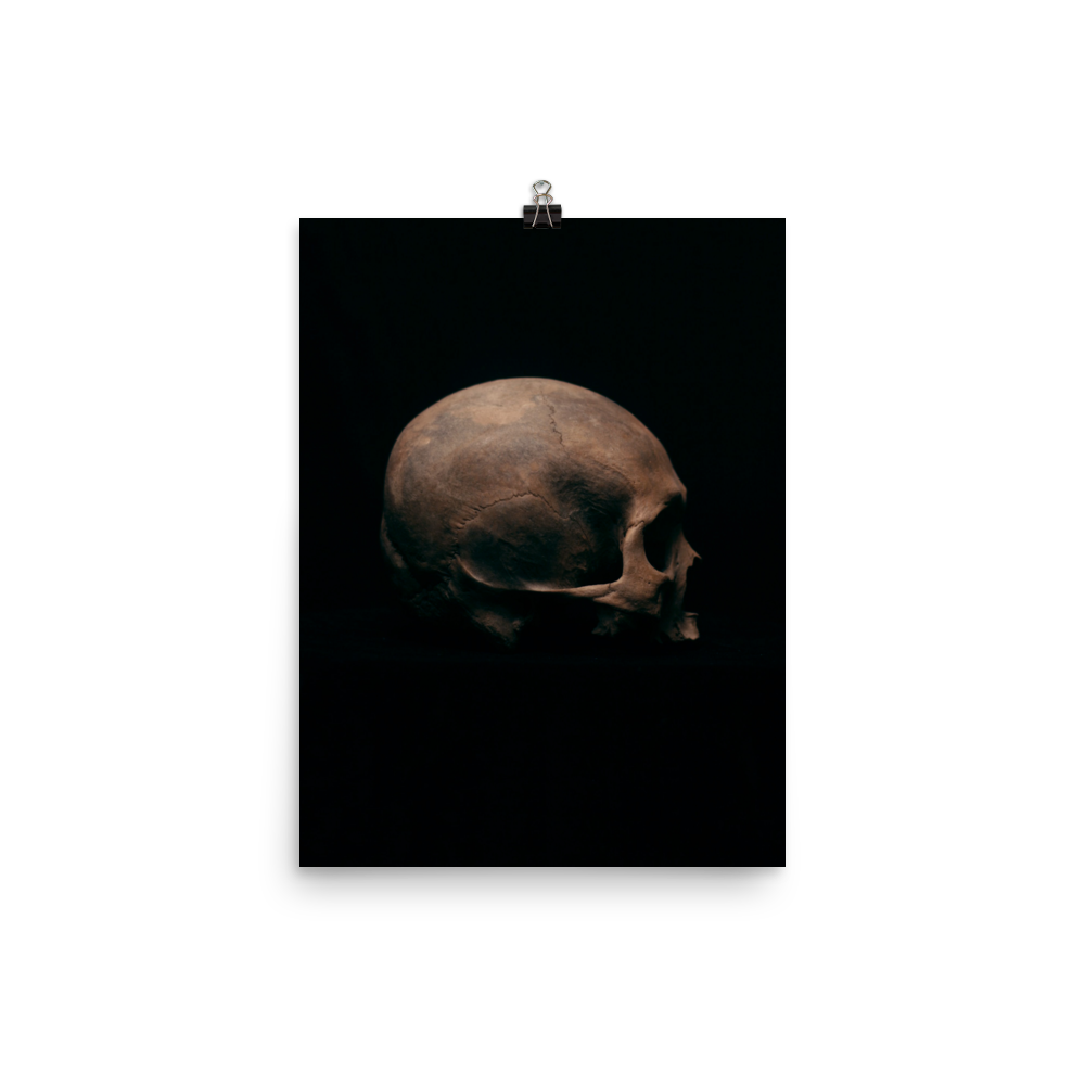 Side view right, real human skull photography - Art print