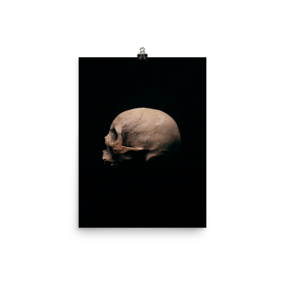 Side view left, real human skull photography - Art print