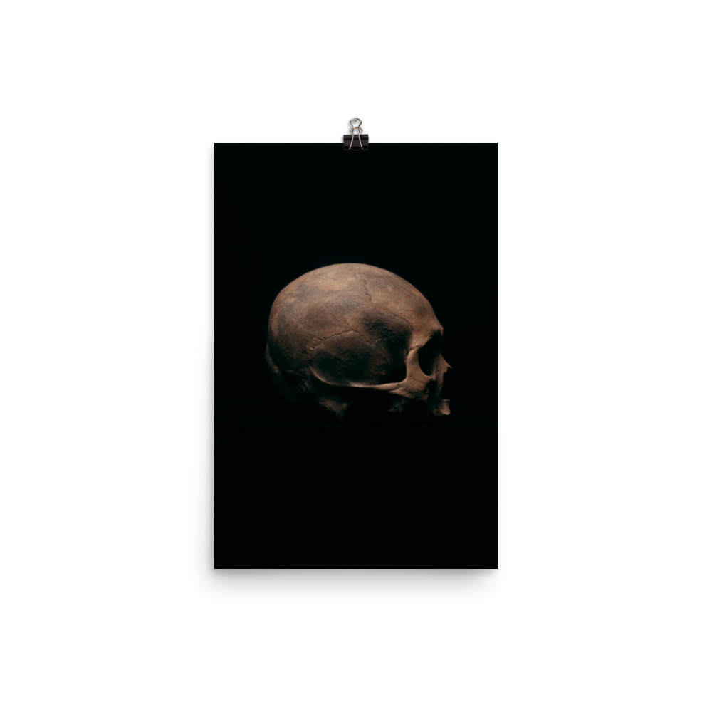 Side view right, real human skull photography - Art print