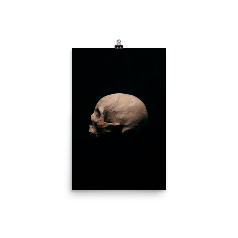 Side view left, real human skull photography - Art print