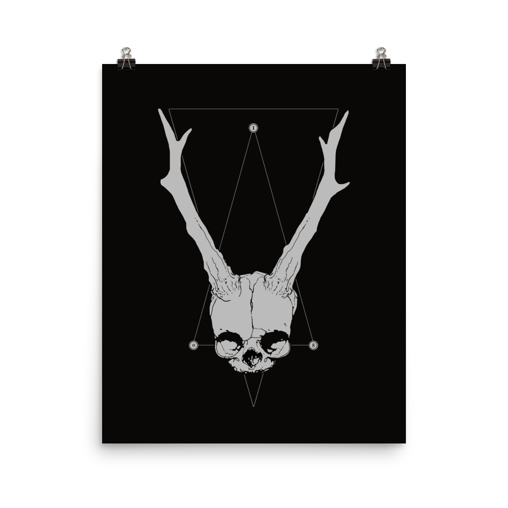 Horned fetal skull - Art print