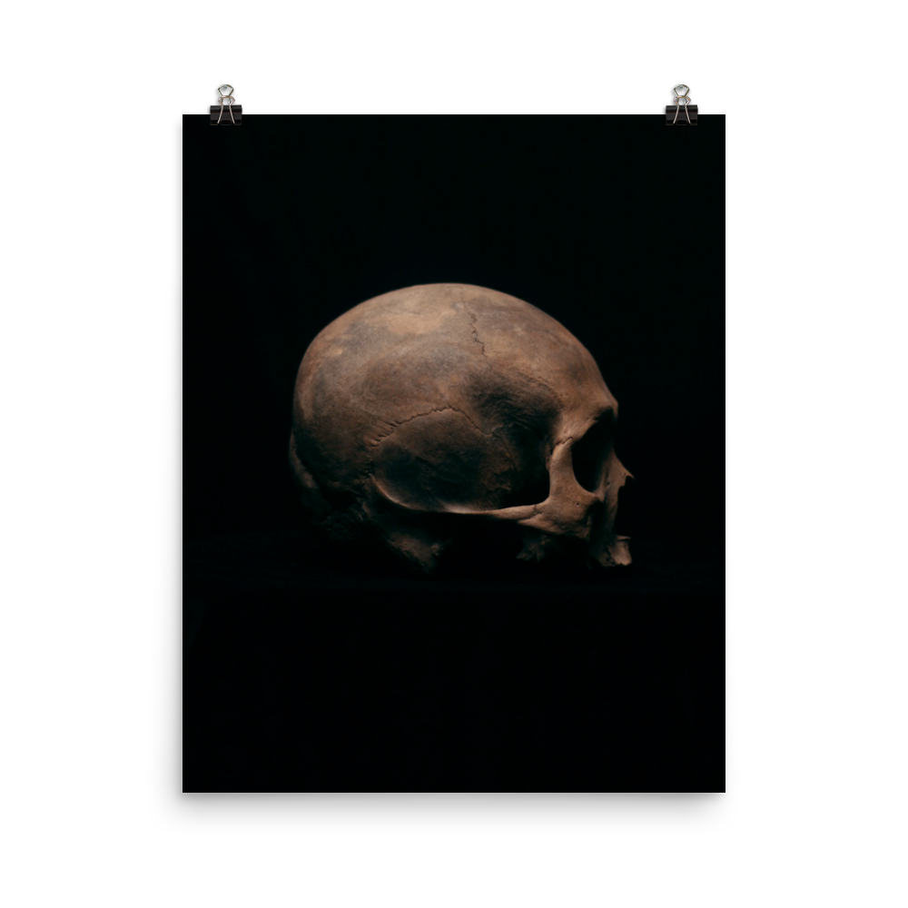 Side view right, real human skull photography - Art print