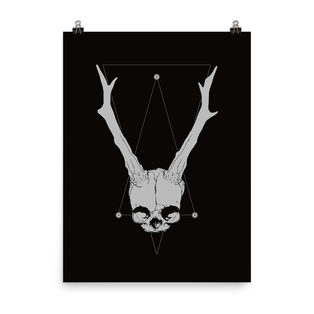 Horned fetal skull - Art print