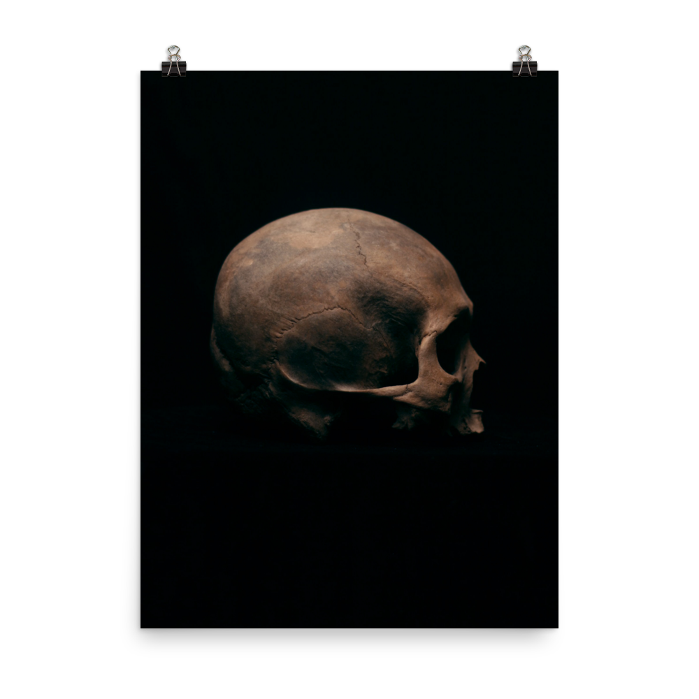 Side view right, real human skull photography - Art print