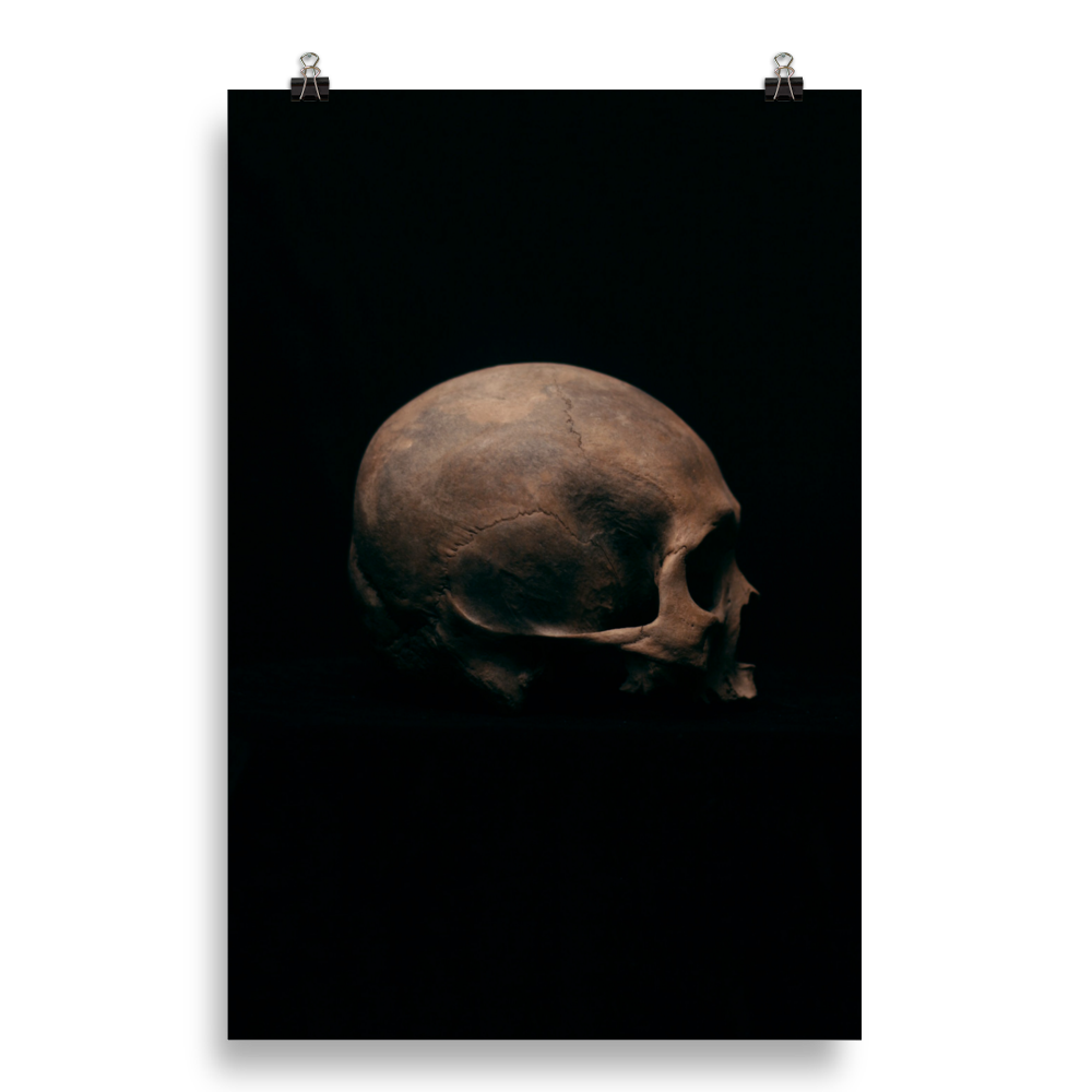 Side view right, real human skull photography - Art print