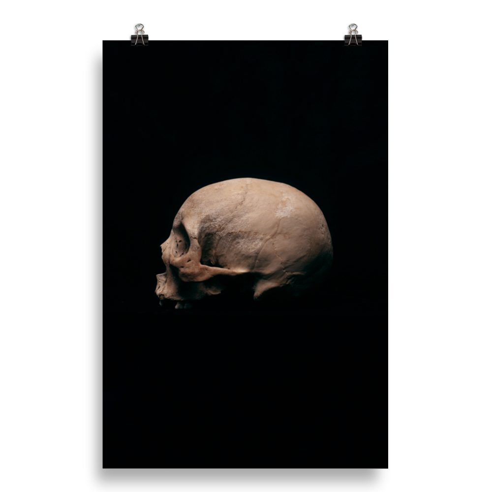 Side view left, real human skull photography - Art print