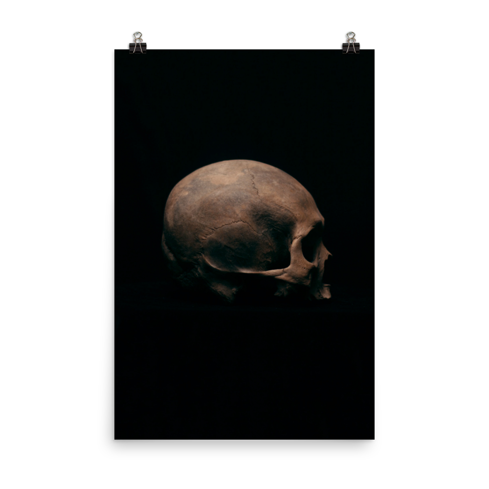 Side view right, real human skull photography - Art print