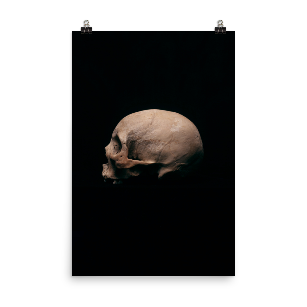 Side view left, real human skull photography - Art print