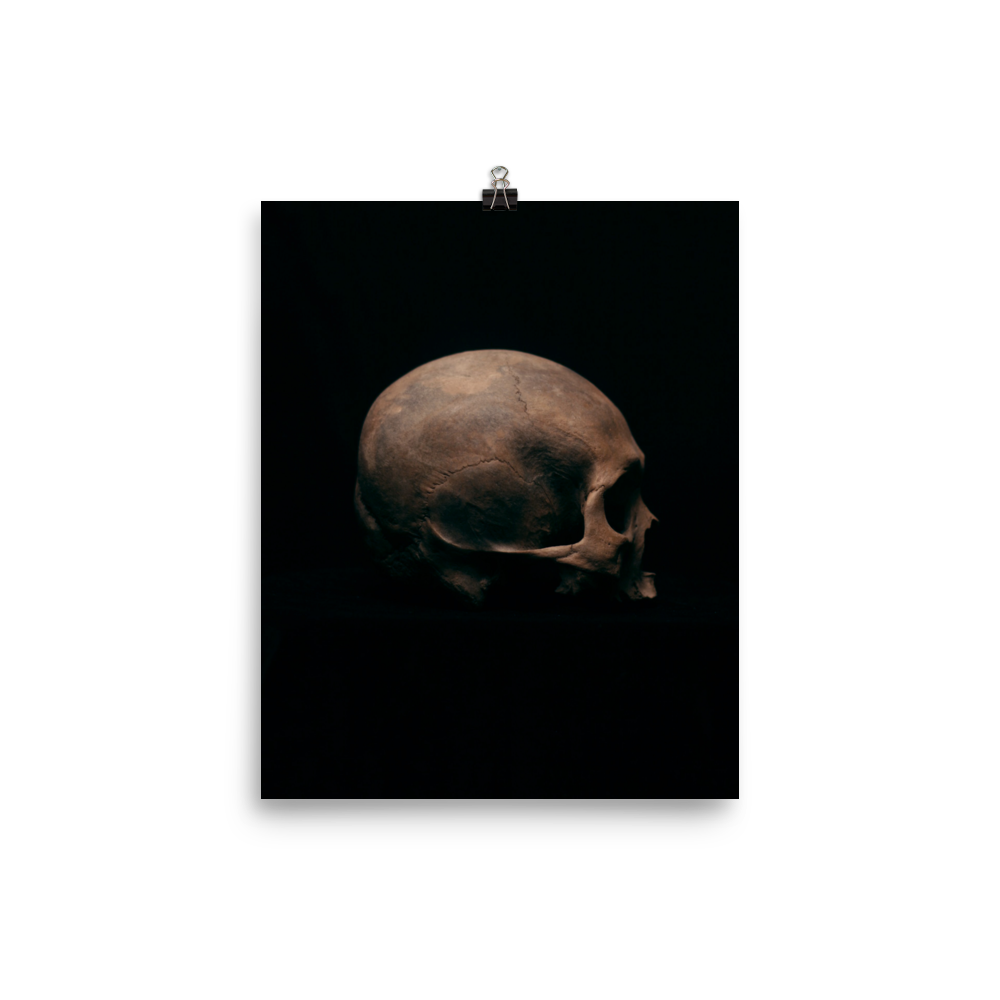 Side view right, real human skull photography - Art print