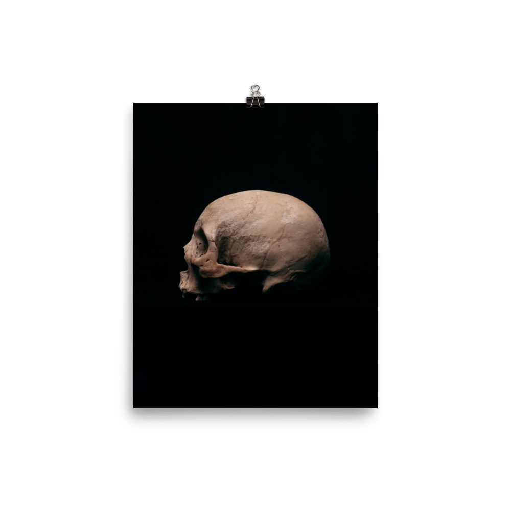 Side view left, real human skull photography - Art print