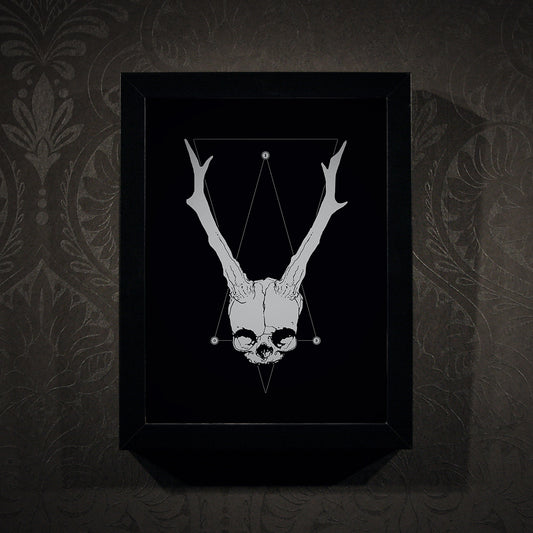 Horned fetal skull - Framed poster