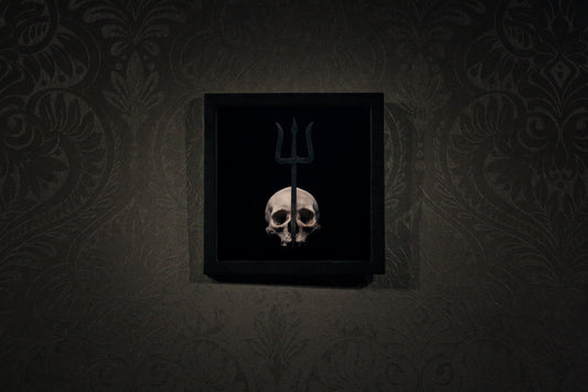 Skull with front trident, real human skull photography front view - Framed poster