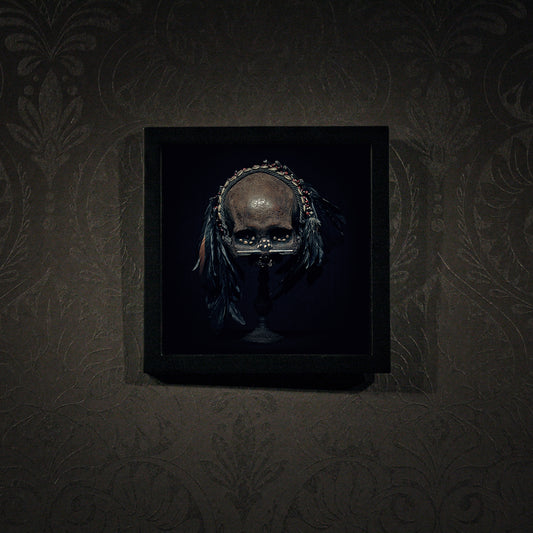 Asmat head hunter trophy skull, real human skull photography art print - Framed poster