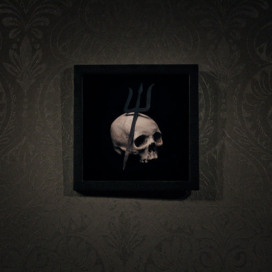 Trident leaning on skull, real human skull photography - Square framed poster