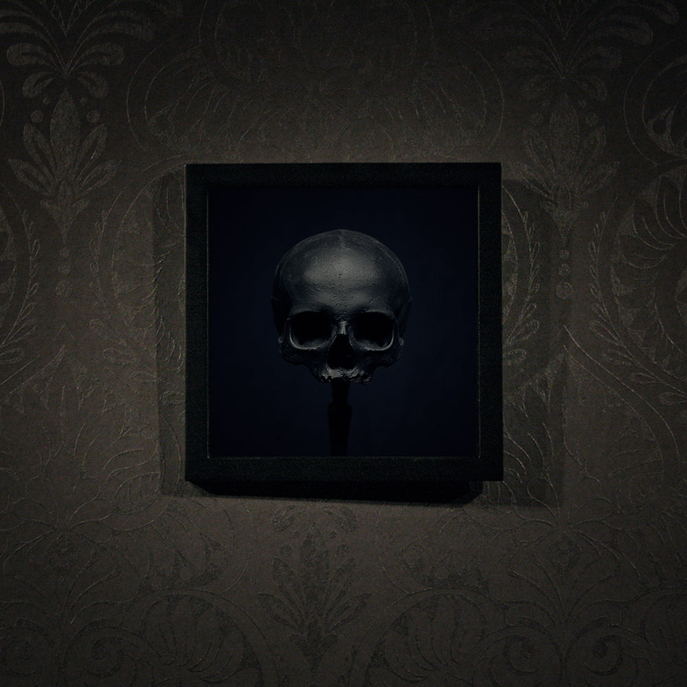 Black skull, real human skull photography art print - Framed poster