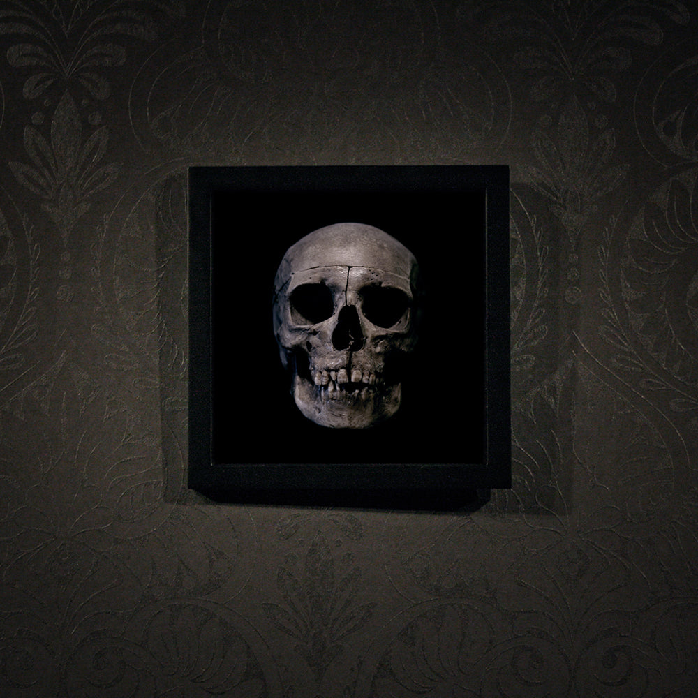 Human skull medical specimen front view - Square framed poster