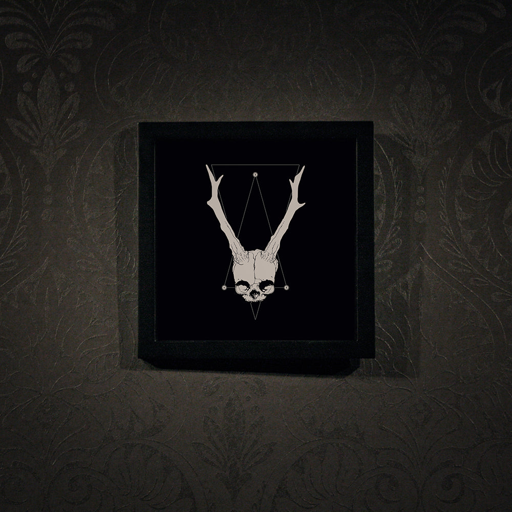 Horned fetal skull - Square framed poster