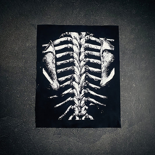 Human spine ribcage, view from back - BACKPATCH