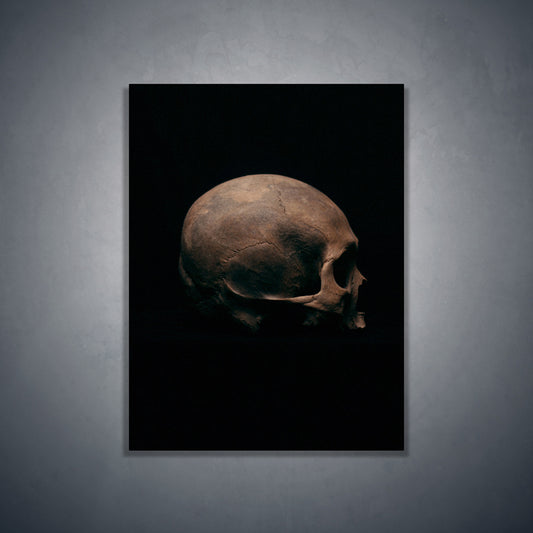 Side view right, real human skull photography - Art print