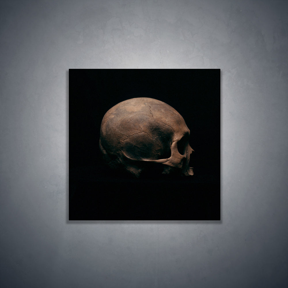 Side view right, real human skull photography - Square art print