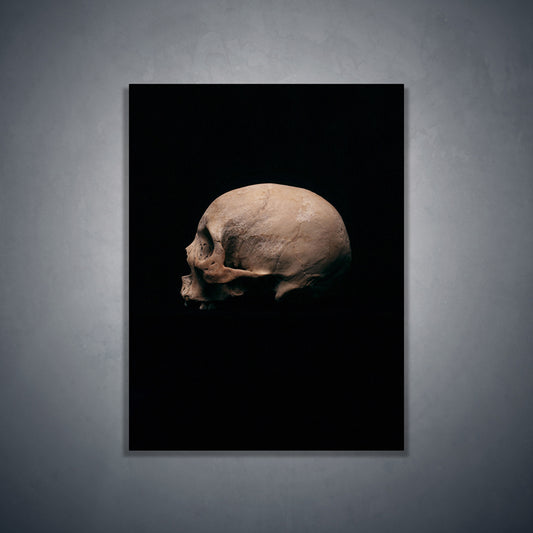 Side view left, real human skull photography - Art print