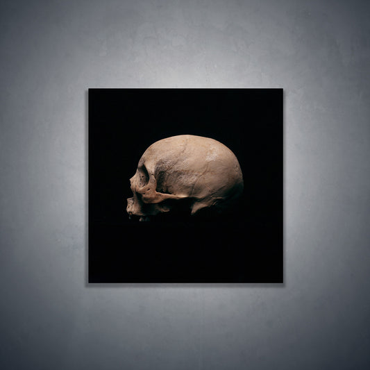 Side view left, real human skull photography - Square art print