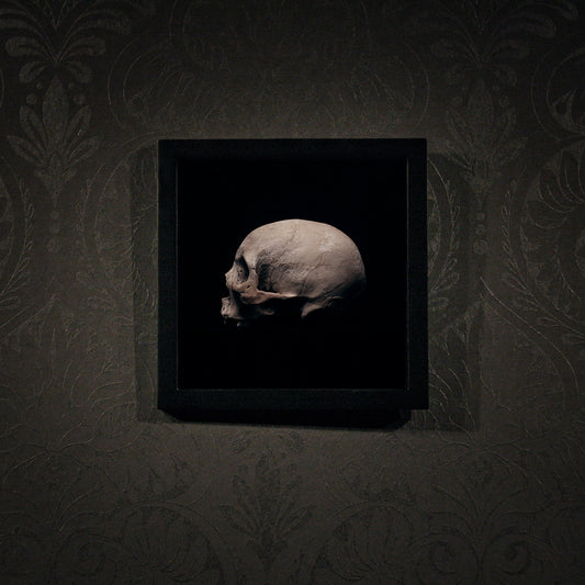 Side view left, real human skull photography - Square framed poster