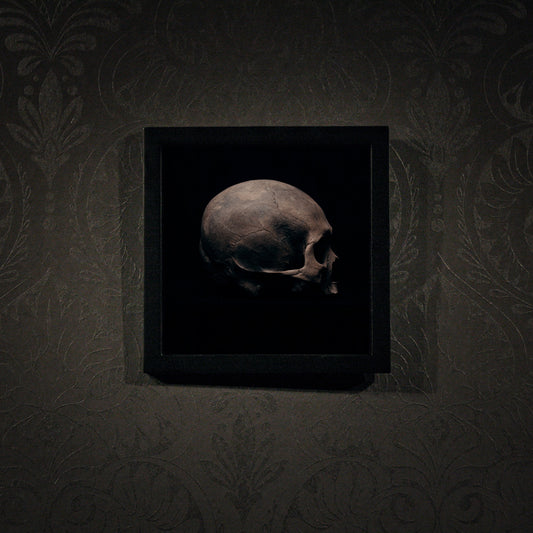 Side view right, real human skull photography - Square framed poster