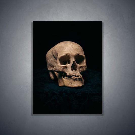 Skull with skewed jaw, real human skull photography - Art print