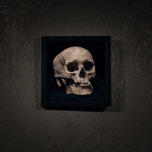 Skull with skewed jaw, real human skull photography - Square framed poster