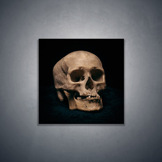 Skull with skewed jaw, real human skull photography - Square art print