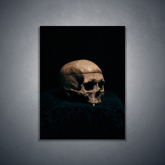 Still life skull, real human skull photography - Art print