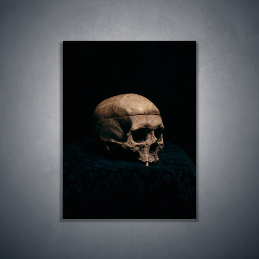 Still life skull, real human skull photography - Art print