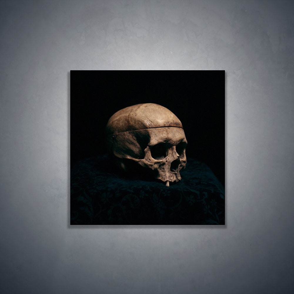 Still life skull, real human skull photography - Square art print