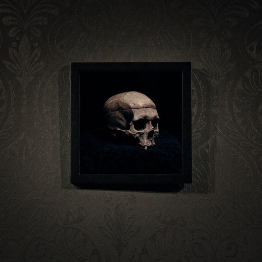Still life skull, real human skull photography - Square framed poster