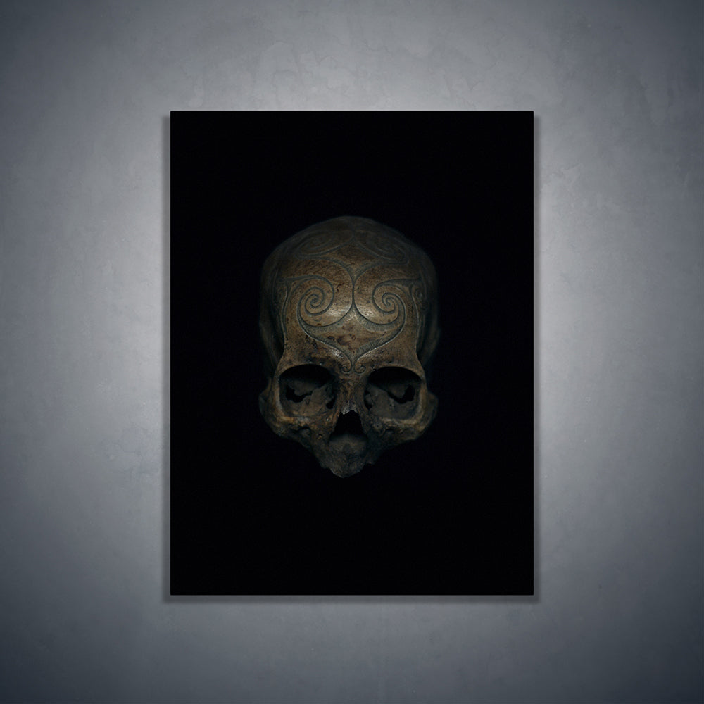 Iban tribe carved trophy skull, real human skull photography - Art print