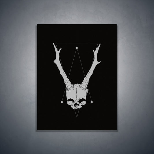 Horned fetal skull - Art print