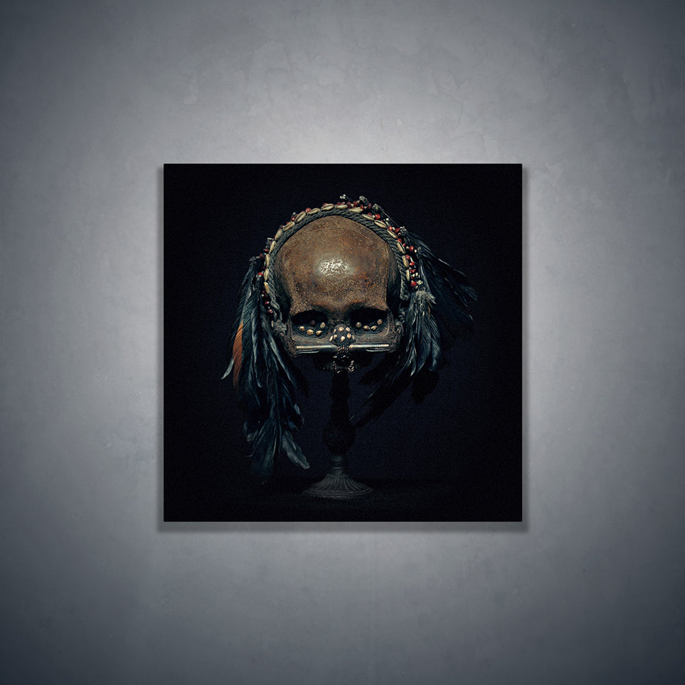 Asmat head hunter trophy skull, real human skull photography - Square art print