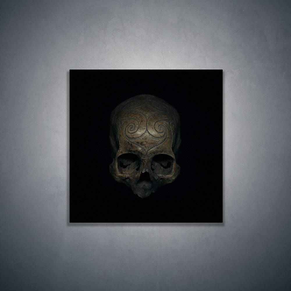 Iban tribe carved trophy skull, real human skull photography - Square art print