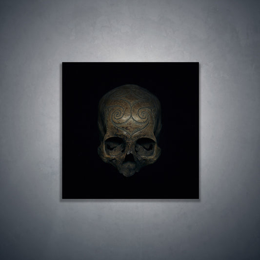 Iban tribe carved trophy skull, real human skull photography - Square art print