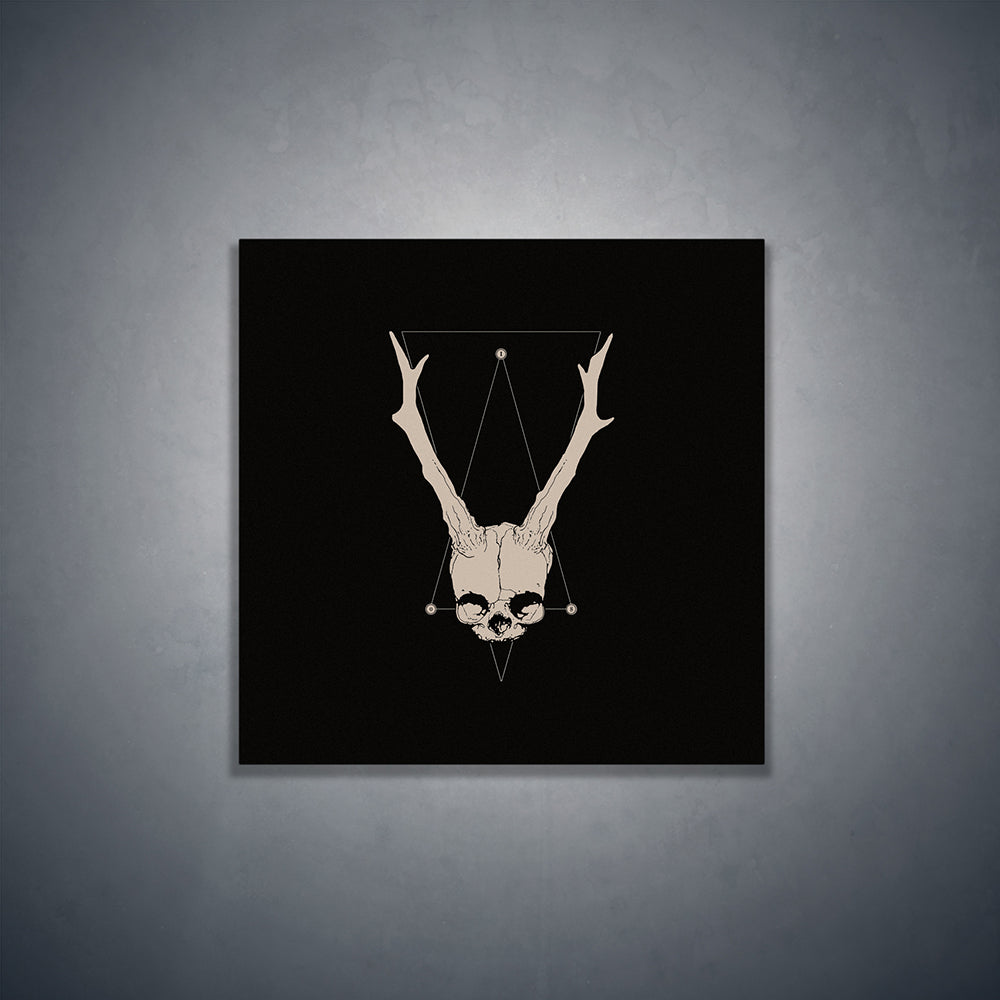 Horned fetal skull - Square art print