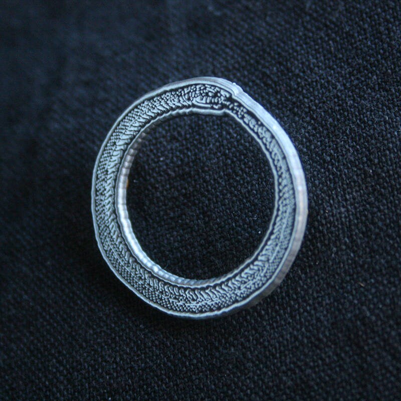 Ouroboros - PIN