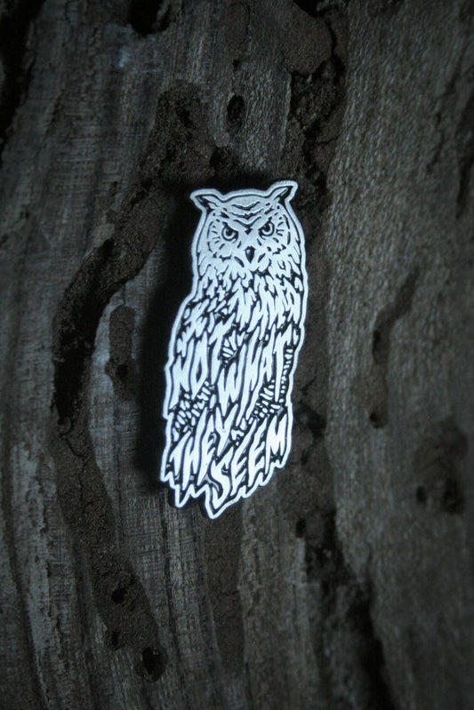 Owls not what they seem - PIN