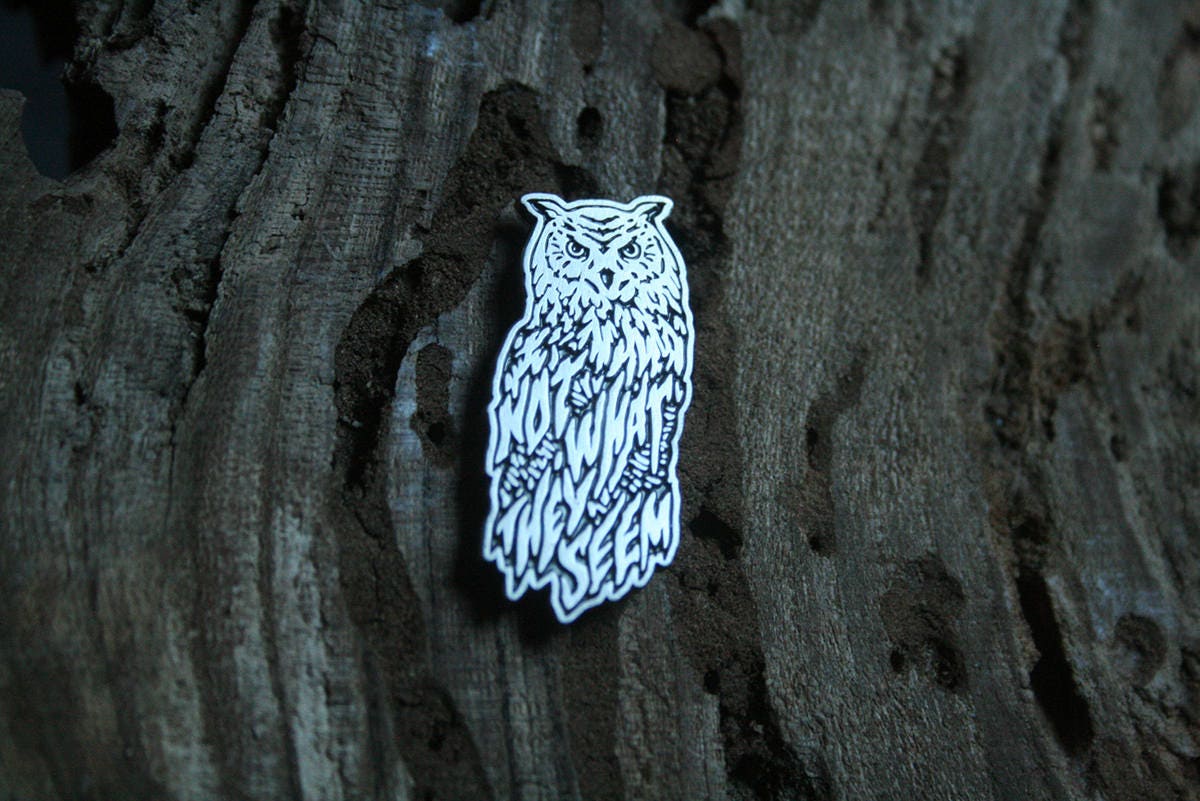 Owls not what they seem - PIN