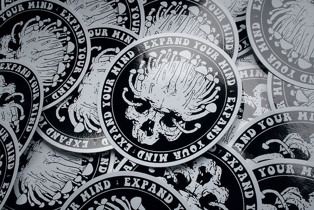 Expand your mind - vinyl STICKER