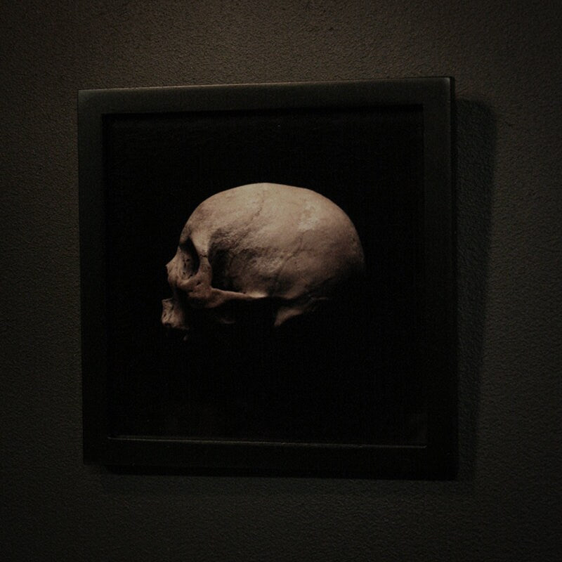 Human skull sideview, framed in black frame - Art print