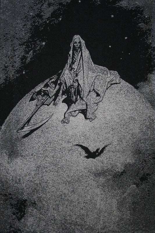Death and the Raven, Gustave Dore illustration - T-shirt female fitted